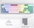 REDRAGON MECHANICAL Pollux Wired Gaming Keyboard